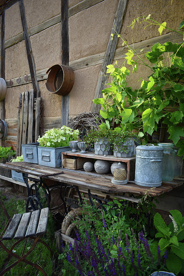 Diy Work Table Made Of Old Wooden Door And Sewing Machine Frame At The Barn, Wild Vine, Ornamental Tobacco, Wire Vine And Steppe Sage Photograph by Christin By Hof 9
