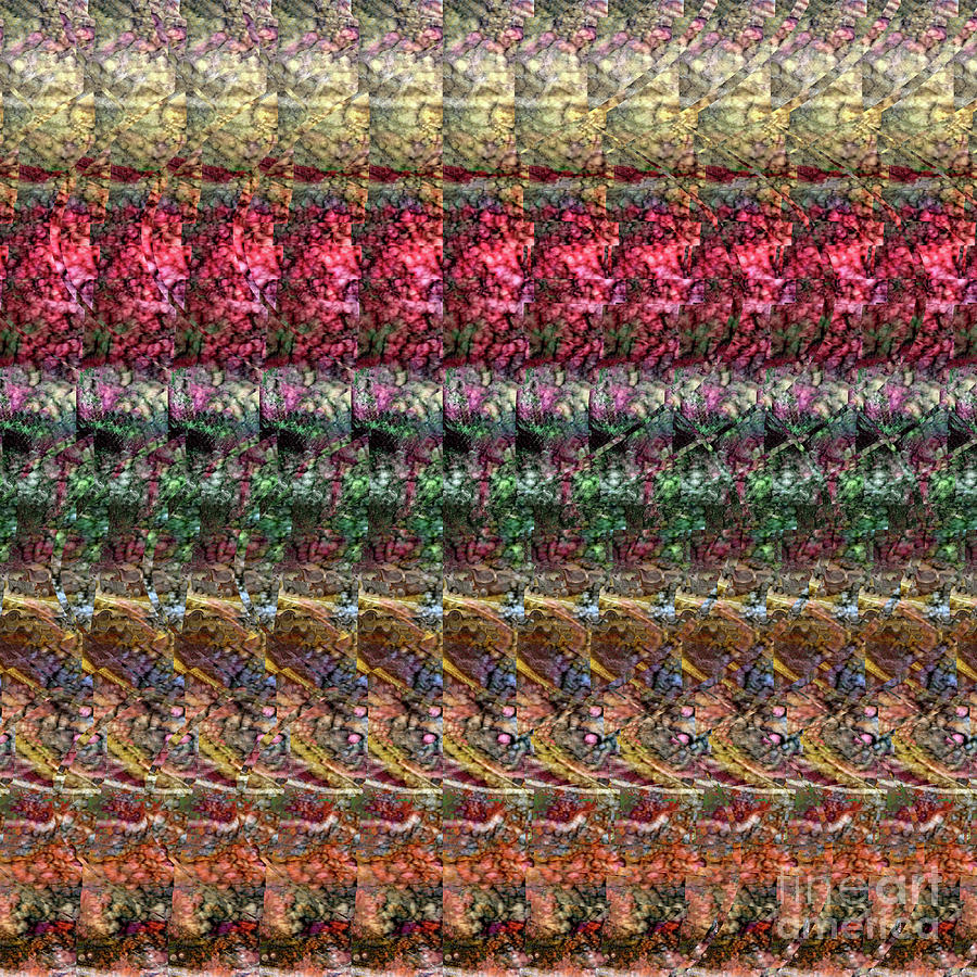 DNA Autostereogram Qualias Meadow 1 Digital Art by Russell Kightley