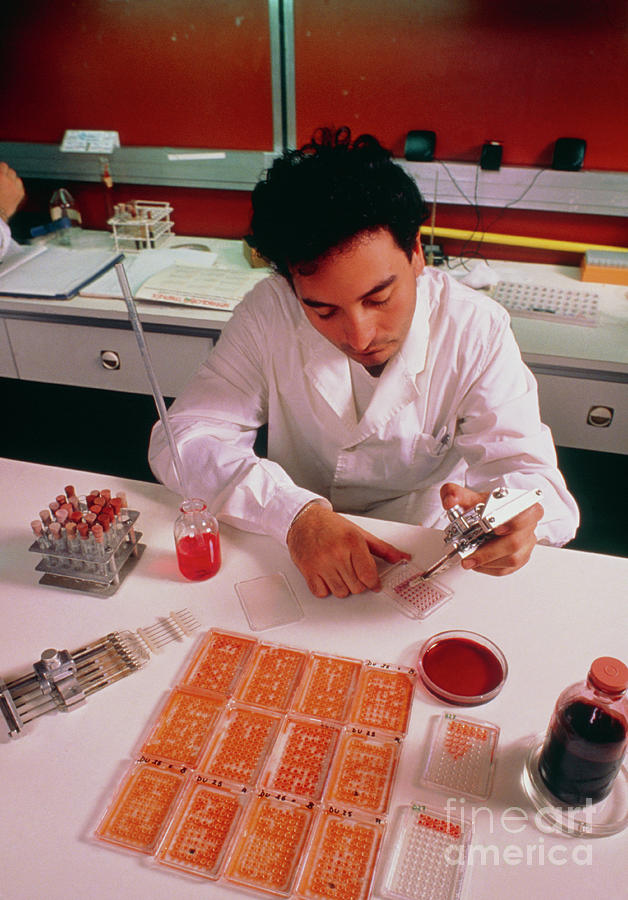 Dna Fingerprinting In Argentina Photograph by Carlos Goldin/science Photo Library