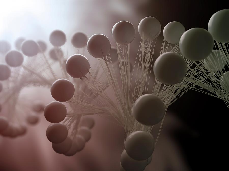 Dna Molecule, Artwork Digital Art by Science Photo Library - Andrzej Wojcicki