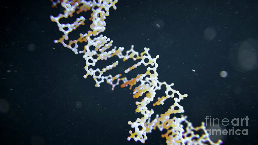 Dna Molecule Photograph by Science Photo Library
