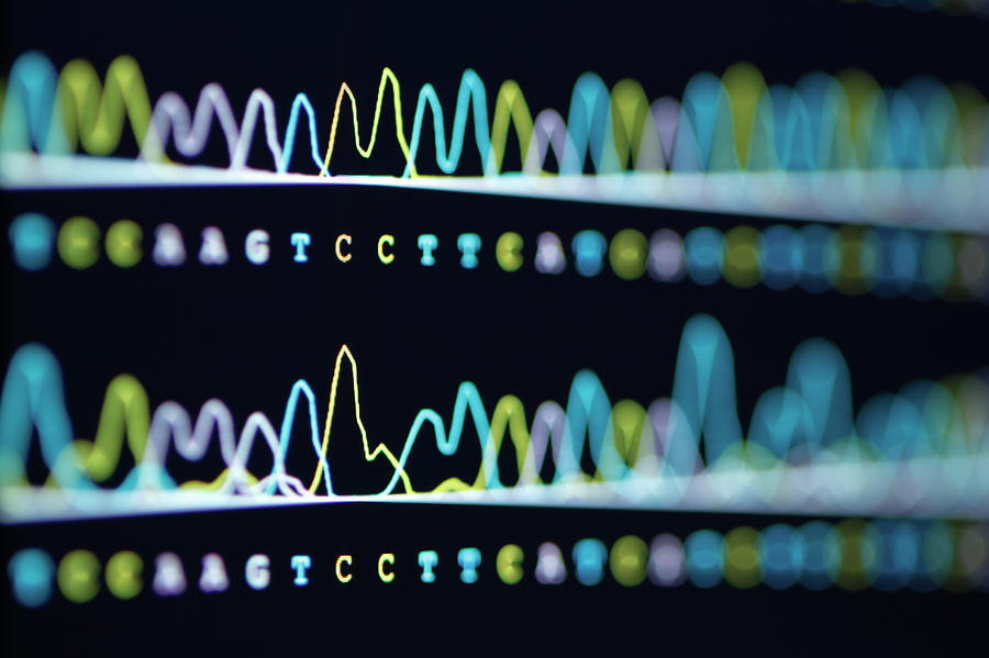 Dna Sequencing Photograph by GIPhotoStock Images