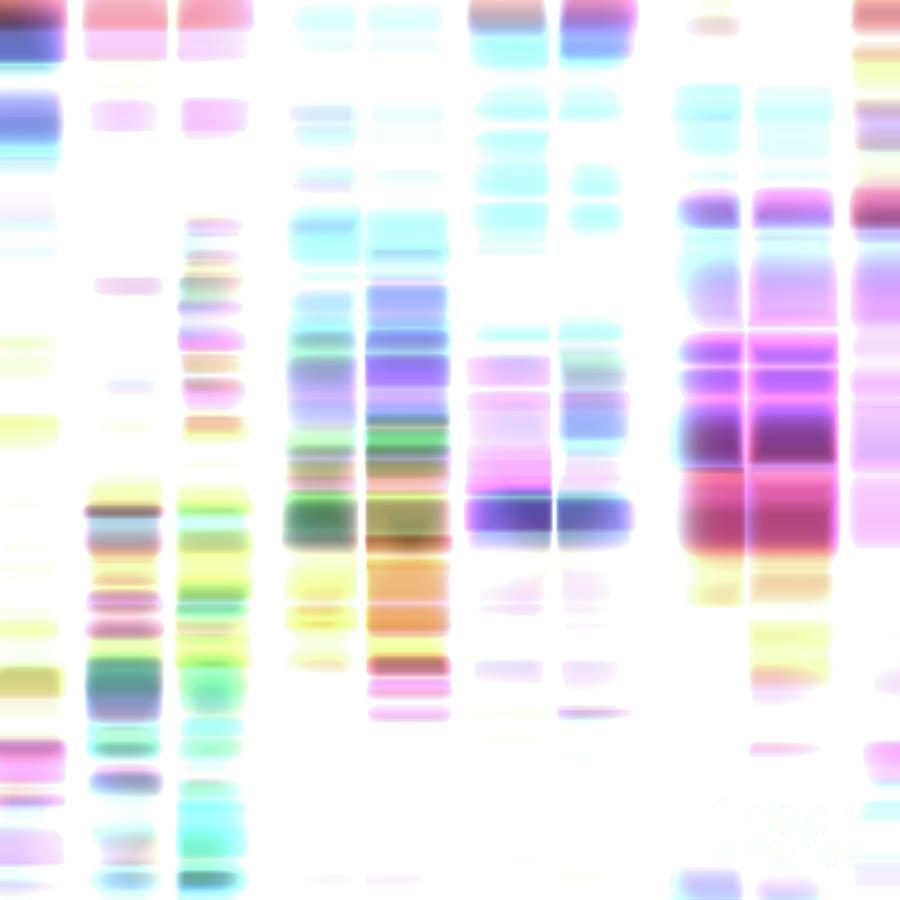 Dna Sequencing Photograph by Mehau Kulyk/science Photo Library