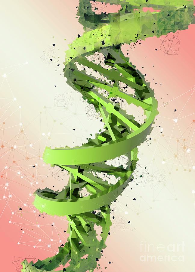 Dna Strand Photograph By Victor Habbick Visions Science Photo Library Fine Art America