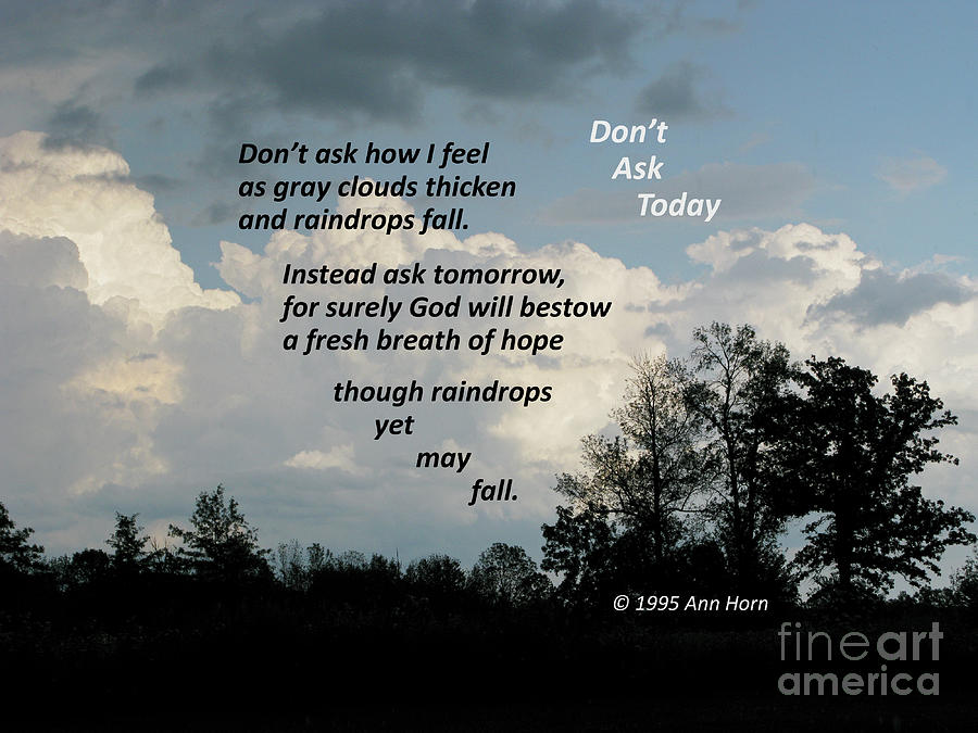 Inspirational Photograph - Do Not Ask Today by Ann Horn