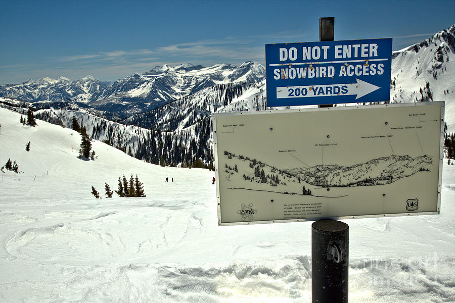 Do Not Enter Snowbird Here Photograph by Adam Jewell