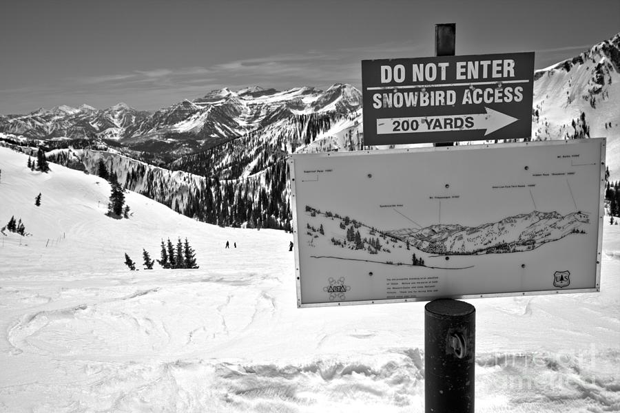 Do Not Enter Snowbird Here Black And White Photograph by Adam Jewell