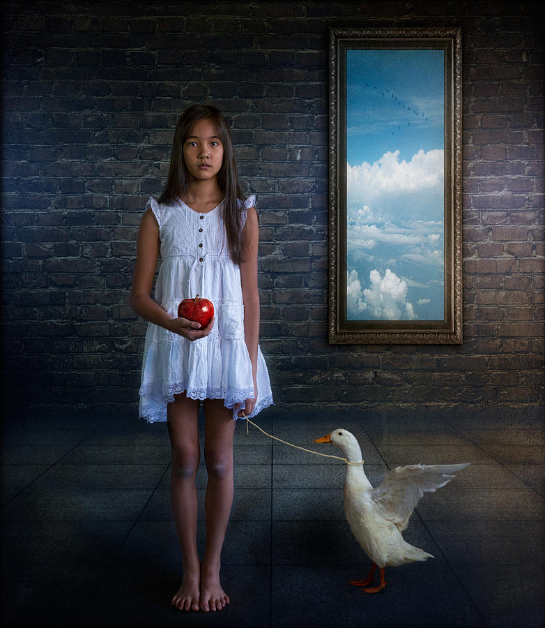 Swan Photograph - Do Not Fly Away by Svetlana Melik-nubarova