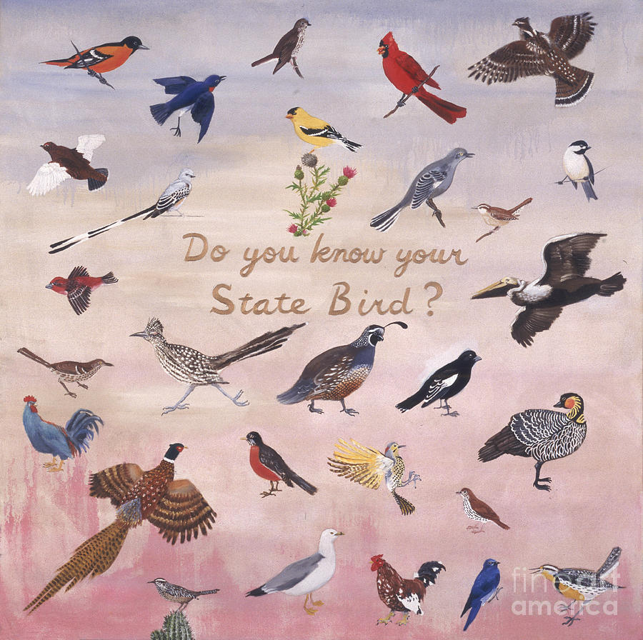 Cardinal Painting - Do You Know Your State Bird?, 1996 by Joe Heaps Nelson
