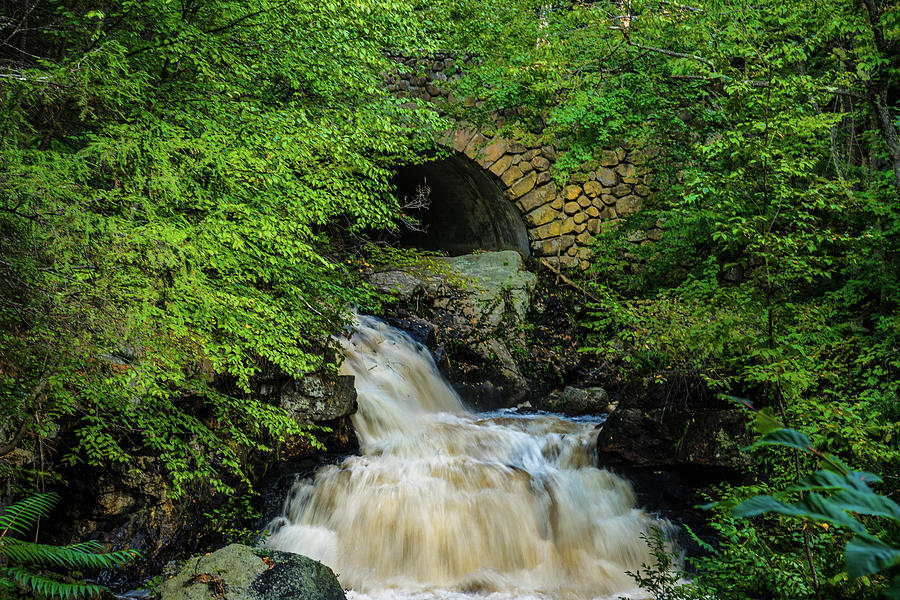 Doanes Fall Rushing Photograph by DiGiovanni Photography