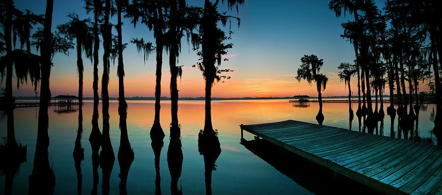 Dock And Bald Cypress Trees At White Photograph by Apostrophe Productions
