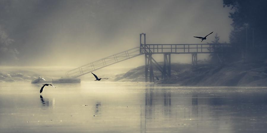 Boat Photograph - Dock On The Bay by Jon Ehrmann