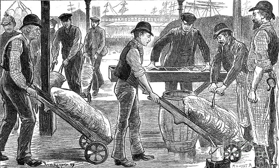 Dockers Unloading Sugar At West India Drawing by Print Collector