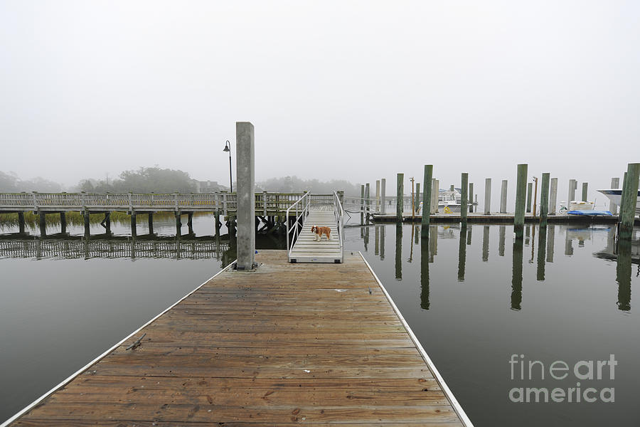 Dockside Fog - Rivertowne on the Wando Photograph by Dale Powell