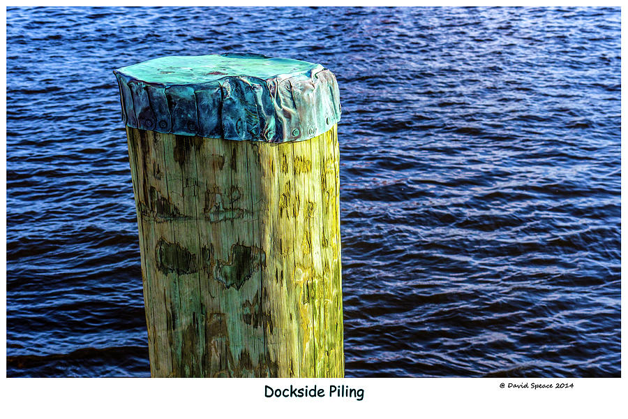 Dockside Piling Photograph by David Speace