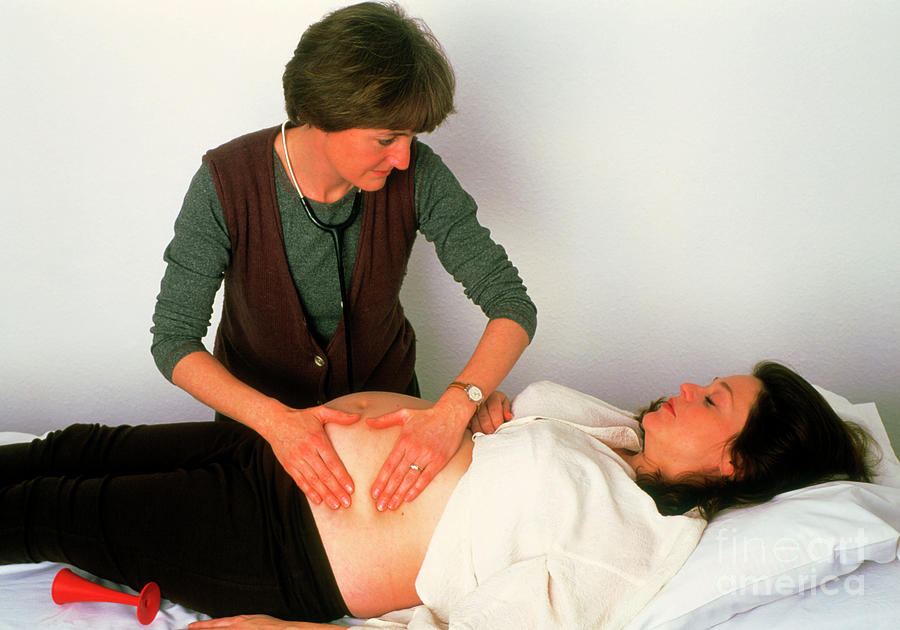 Doctor Palpates A Pregnant Womans Abdomen Photograph by Faye Norman/science Photo Library