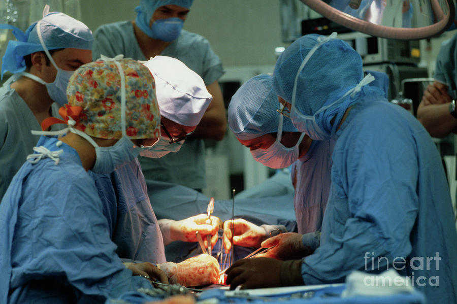 Stanford University Photograph - Doctors Performing Heart-lung Transplant by Bettmann