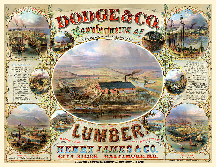Dodge & Co. Lumber Painting by Unknown