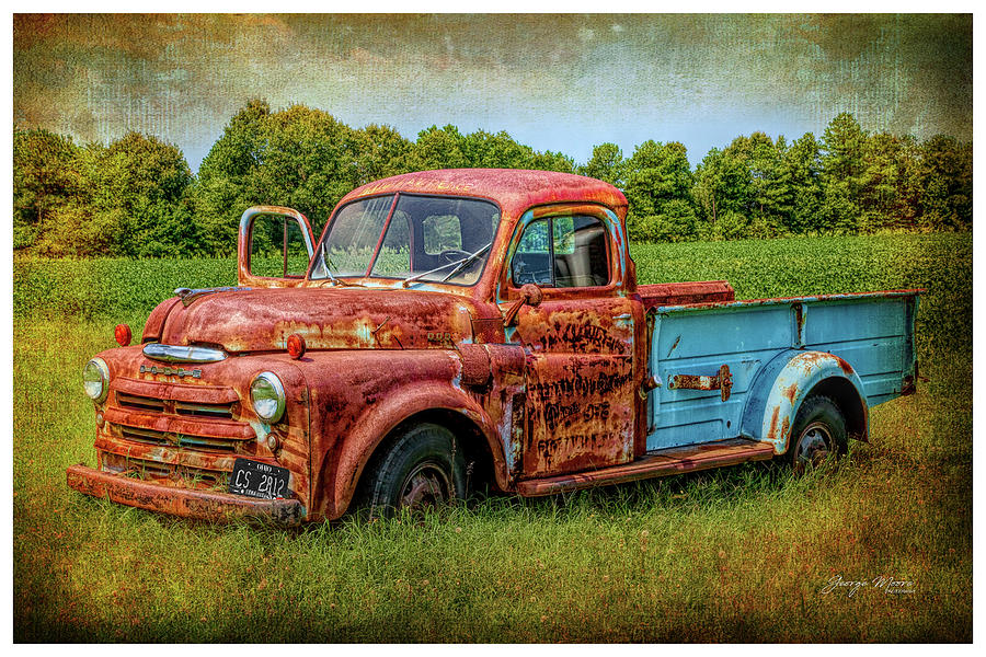 Dodgen A Field Photograph By George Moore - Fine Art America