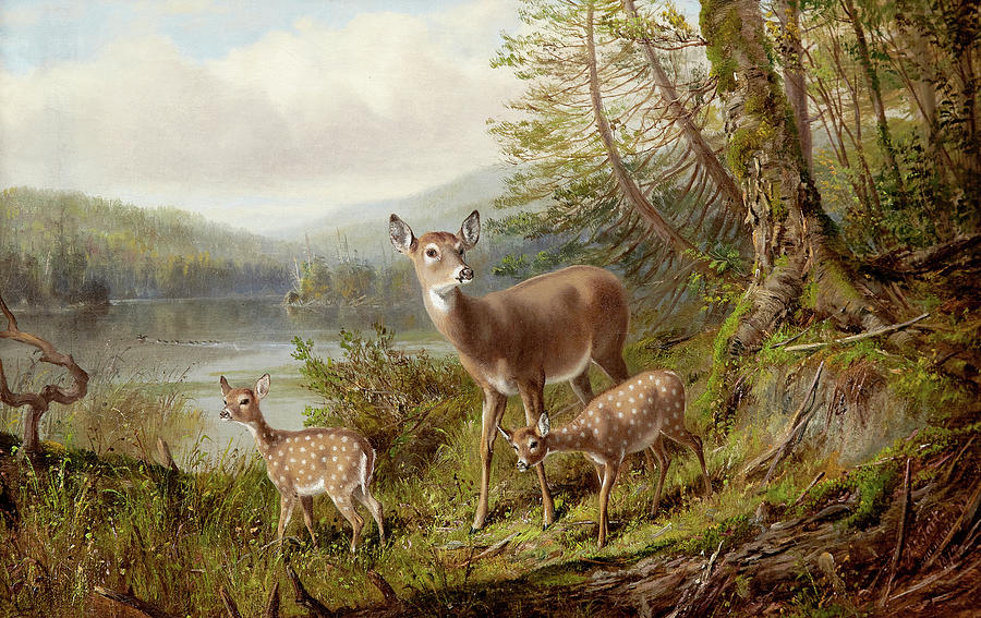 Arthur Fitzwilliam Tait Painting - Doe and Fawns by Arthur Fitzwilliam Tait
