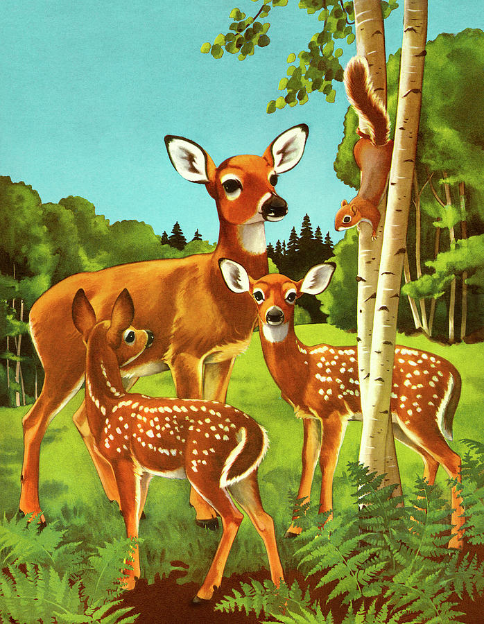 Deer Drawing - Doe and Two Fawn by CSA Images