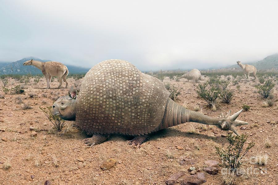 Doedicurus Prehistoric Armadillo Photograph by Roman Uchytel/science ...