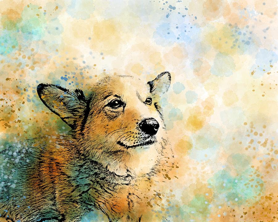 Dog 143 Corgi Digital Art by Lucie Dumas