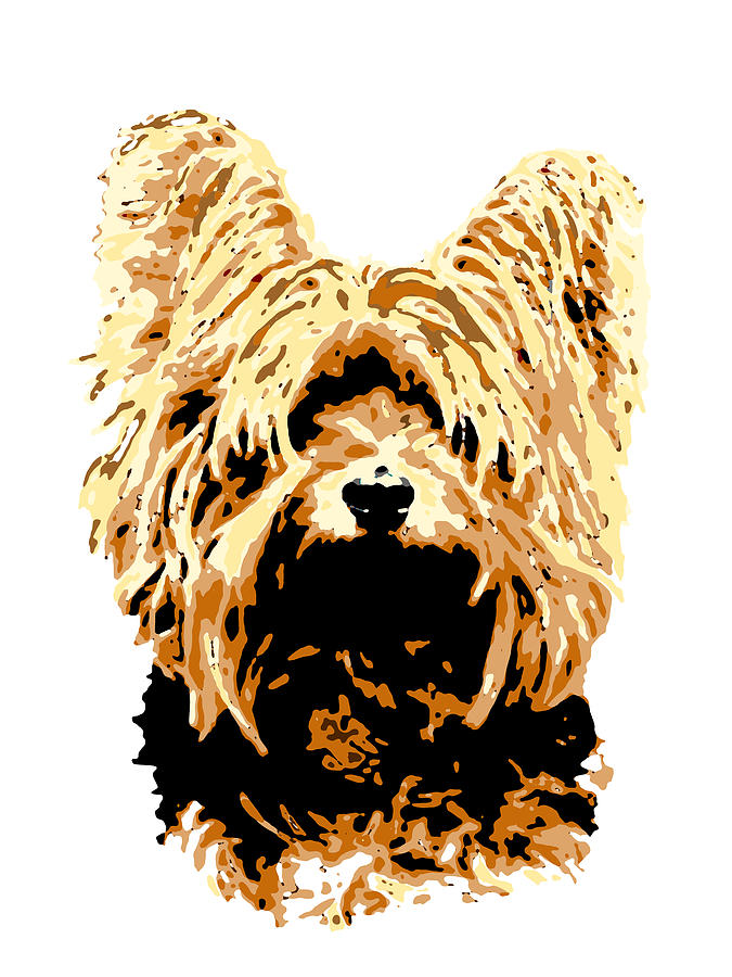 Dog 147 Yorkshire Digital Art by Lucie Dumas