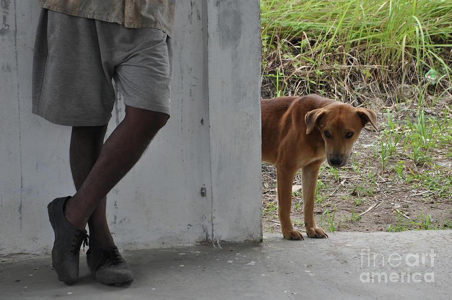 Dog and A Man by Yermia Riezky Santiago Dog and A Man by Yermia Riezky Santiago