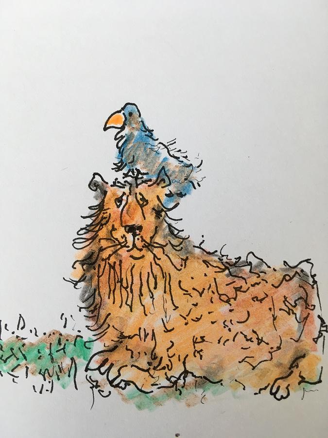 Dog and bird Drawing by Dan Cohn-Sherbok