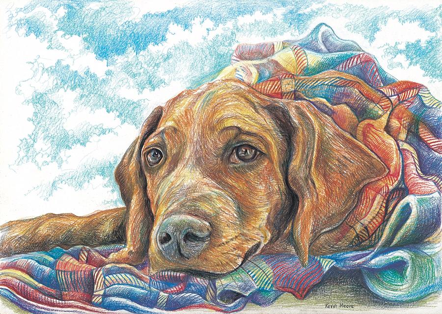 Dog and Blanket Drawing by Kevin Derek Moore