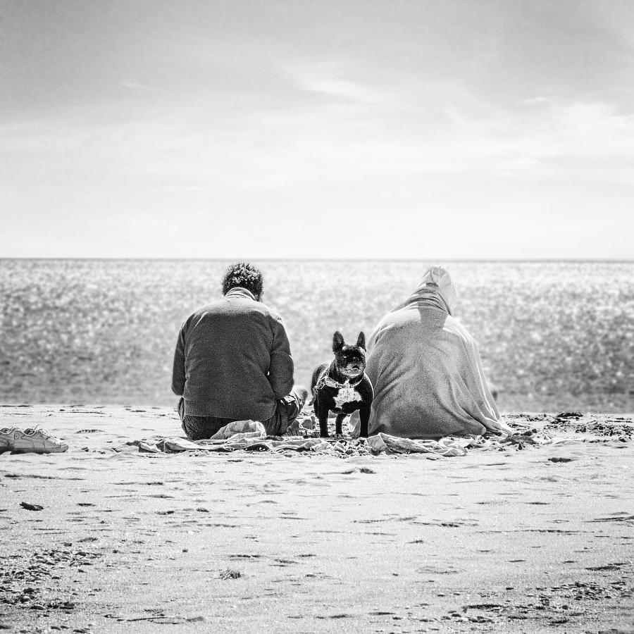 Dog At Sea Photograph by Ina Tnzer
