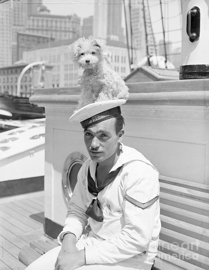 Dog Atop Sailors Hat Photograph by Bettmann