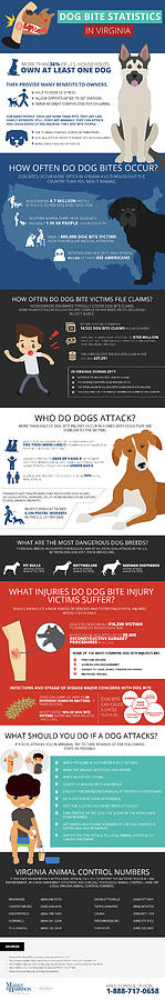 Dog Bite - An Infographic Photograph by Karen Jackson - Pixels