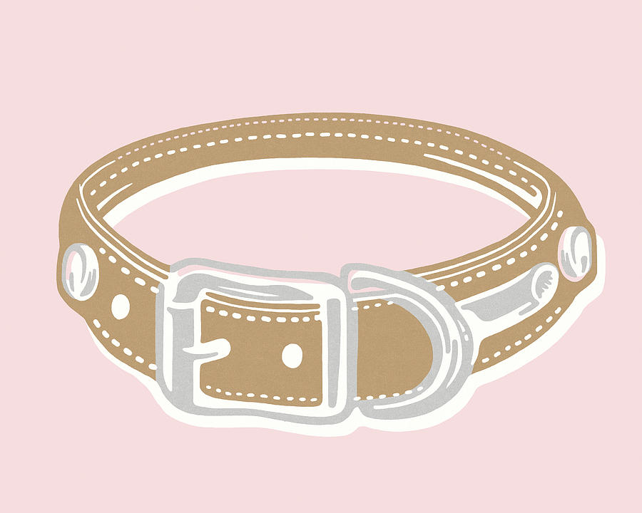 Vintage Drawing - Dog Collar by CSA Images