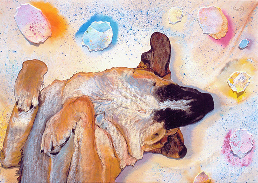 Animal Mixed Media - Dog Dreams by Pat Saunders-White