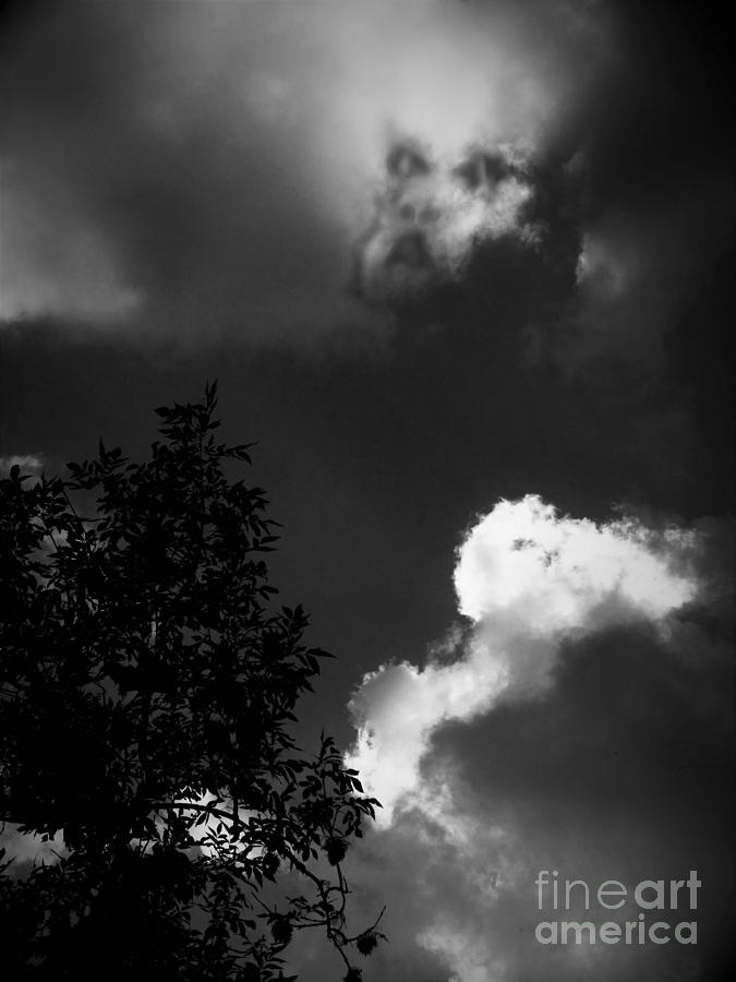 Dog Face Spirit Cloud Photograph by Delynn Addams