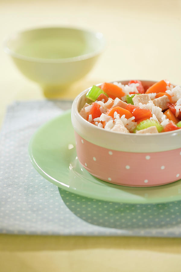 Dog Food - Rice With Ham, Tomatoes And Celery Photograph by Colin Cooke