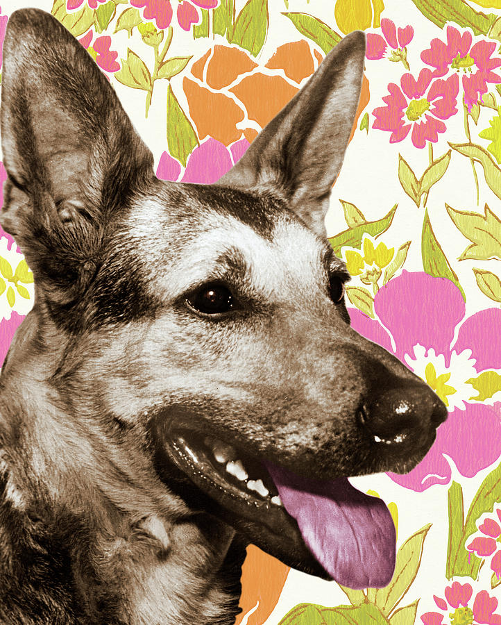 Vintage Drawing - Dog Head on Floral Background by CSA Images