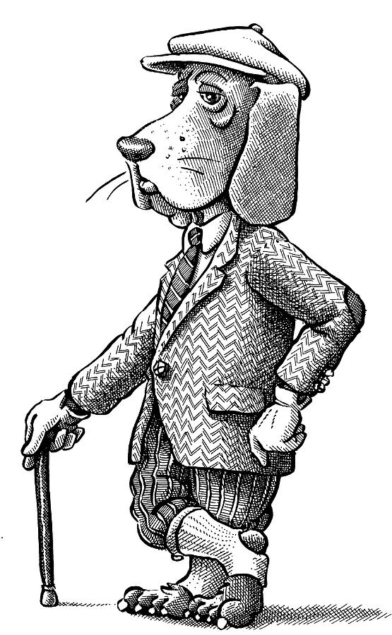 Dog In Tweed Drawing