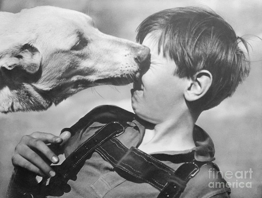 Dog Licking Face Of Young Boy Photograph by Bettmann