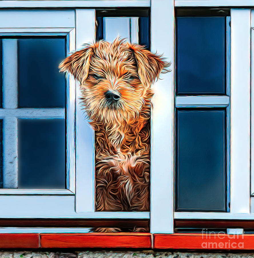 Dog on a balcony Digital Art by Brian Tarr