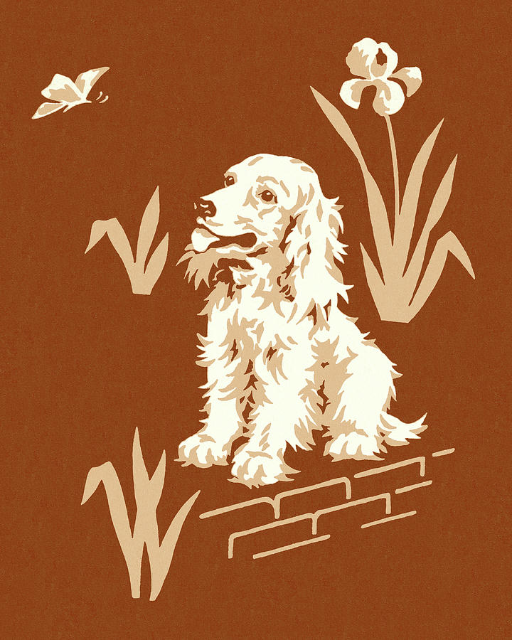 Butterfly Drawing - Dog on a Brown Background by CSA Images