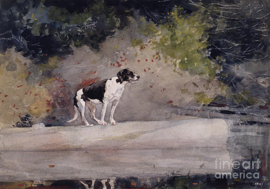 Dog on a Log, 1889  Painting by Winslow Homer