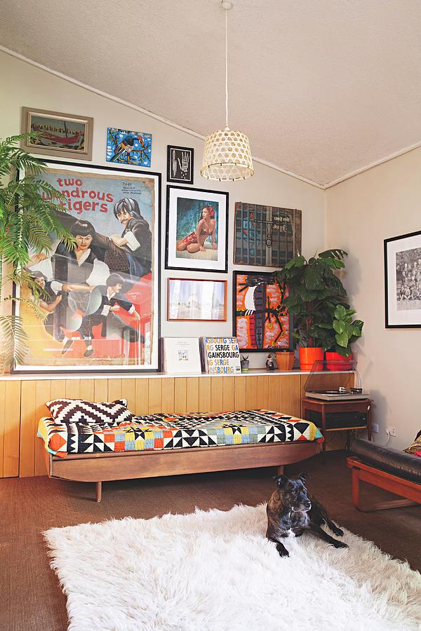 Dog On Flokati Rug And Couch With Ethnic Blanket Against Half-height, Continuous Sideboard Below Collection Of Pictures On Wall Photograph by Natalie Jeffcott