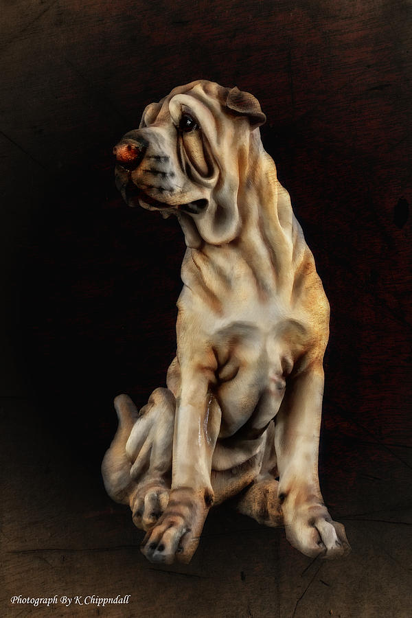 Dog portrait 63 Digital Art by Kevin Chippindall