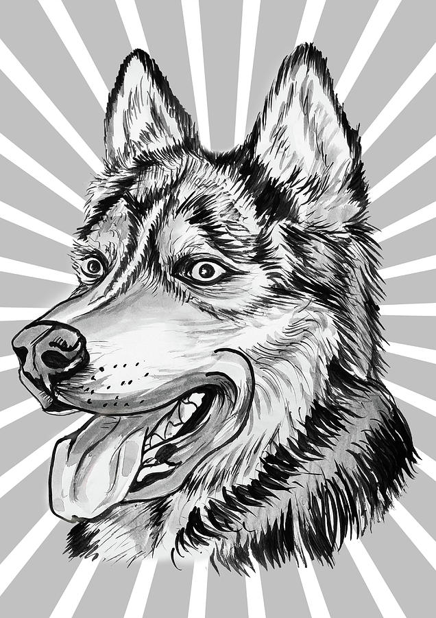 Pet Portrait Drawing - Dog Portrait by Asp Arts