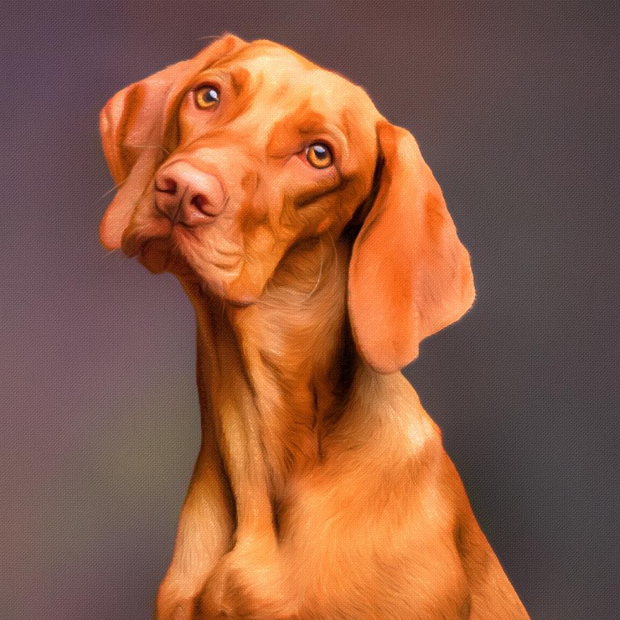 Dog portrait Painting by Vincent Monozlay