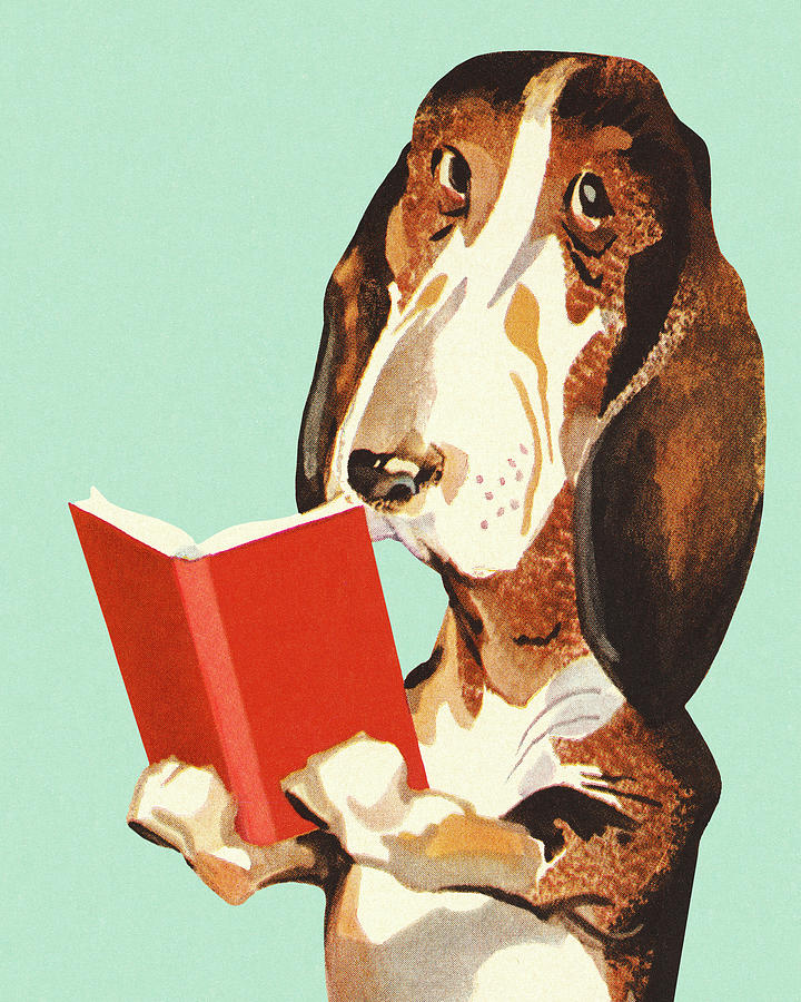 Vintage Drawing - Dog Reading a Book by CSA Images