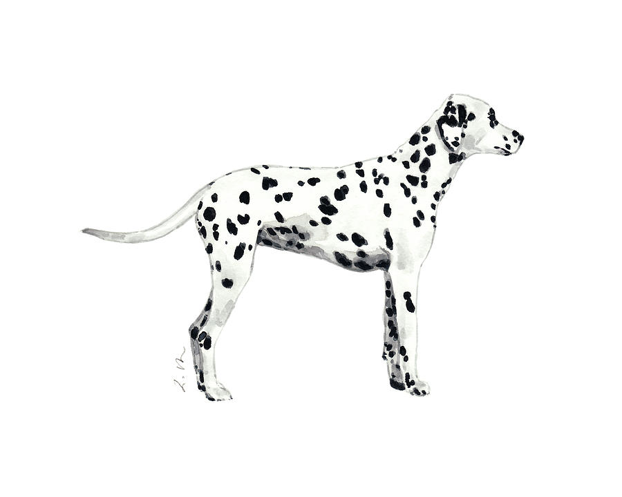 Black And White Painting - Dog Series Dalmatian by Laura Row